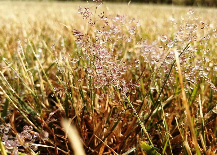 Goscinne Karkonosze 펜션 *